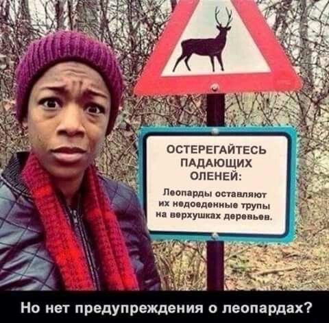 Смешные картинки с надписями на пятницу