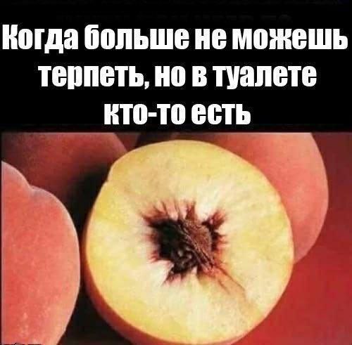 Картинки для деградации 12 (разной степени свежести)