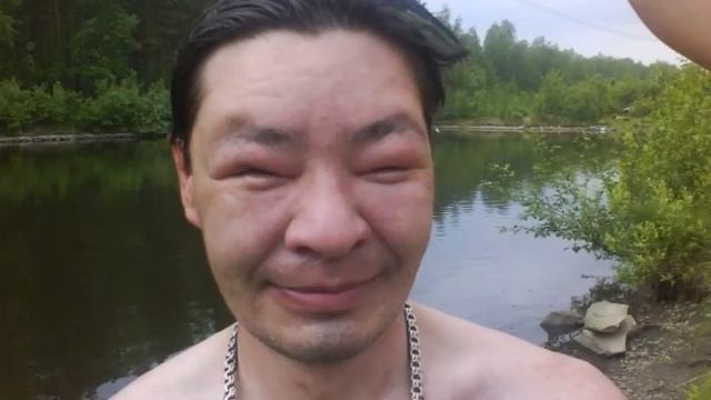 Пчёлки