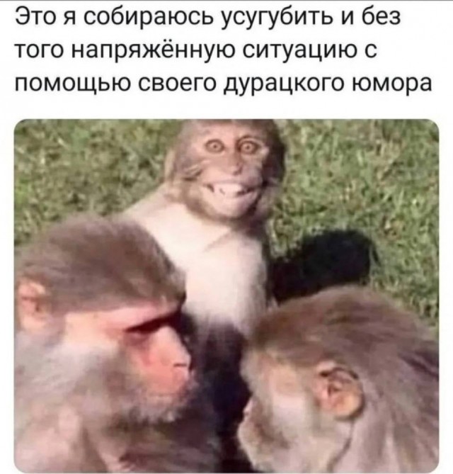 Картинки для деградации 128 (разной степени свежести)