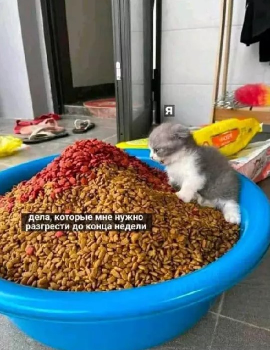 Котямбосы