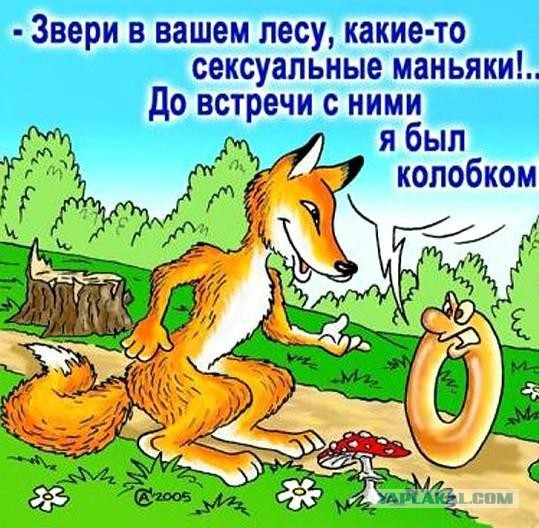 Не магией единой