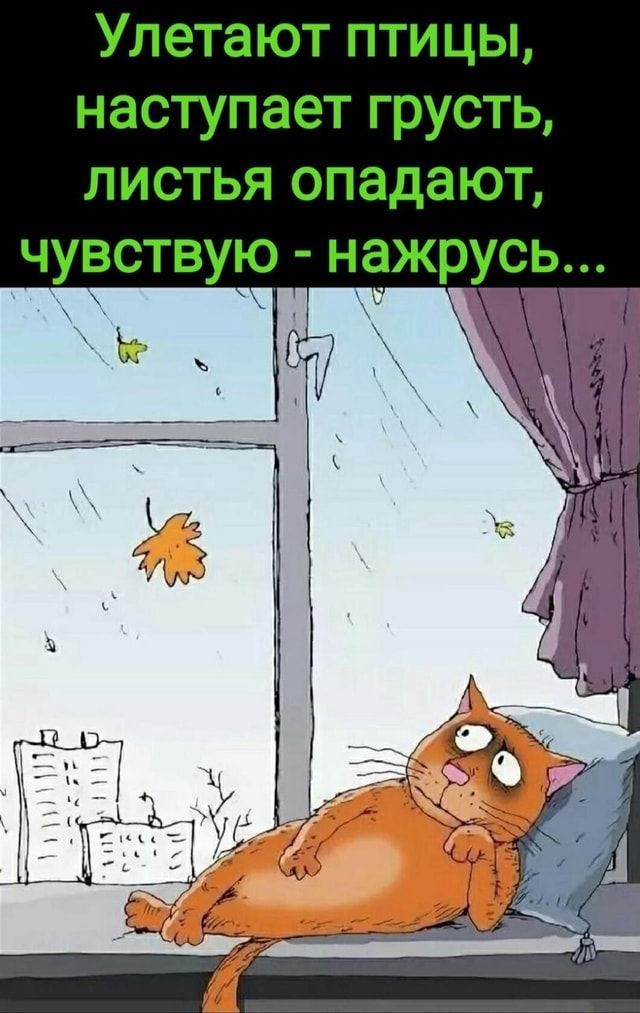 Грустная осень...