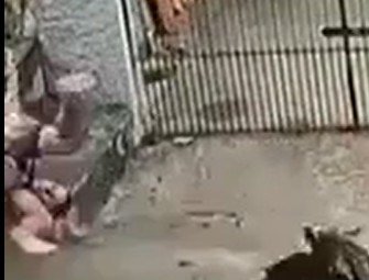 Догнали⁠