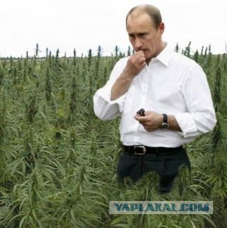Я не хочу больше курить