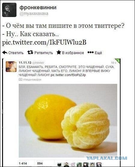 Приколы и маразмы 2