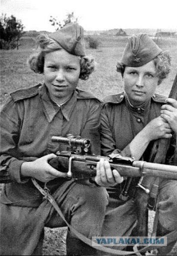 Боевые девки