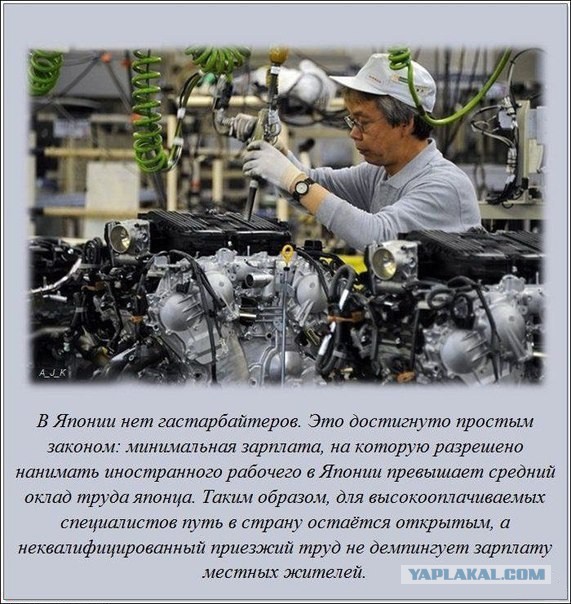 Они будут жить в России вместо нас!