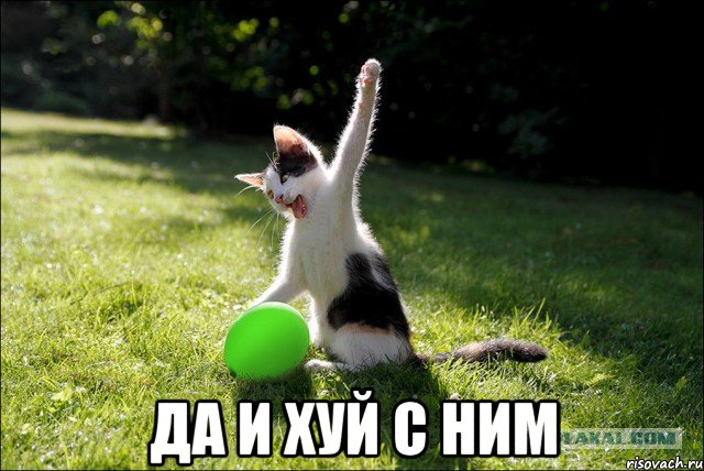 Военком подловил соратника Навального у подъезда:)