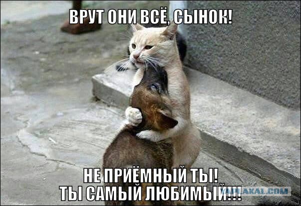Веселые картинки.