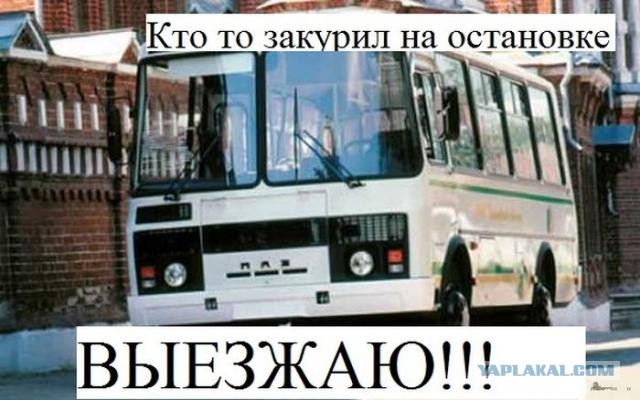 Смешные картинки с подписями 2