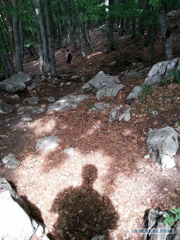 Дорога из Киева и из Москвы в Ялту.