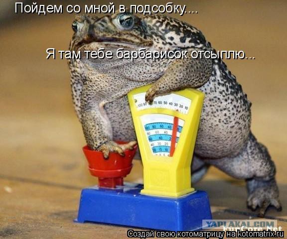 Добряки, плюсующие всех подряд