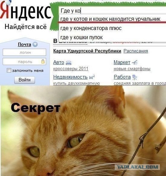 Не юкки ради, улыбки для...