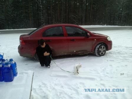 Прогулять сабакина..