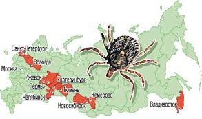 Дары Севера