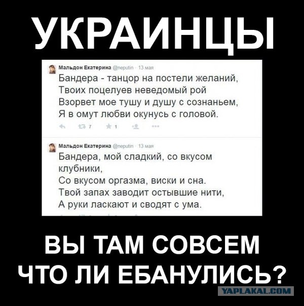 Солянка политическая #6