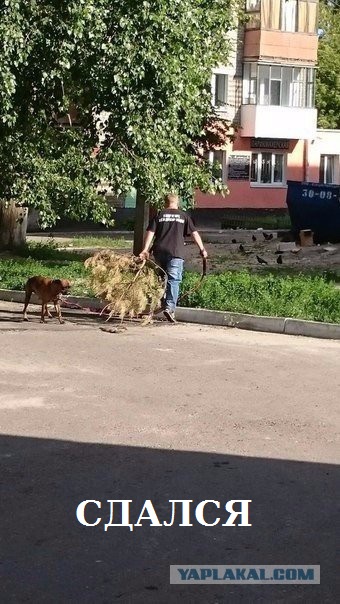 Весёлости для настроения