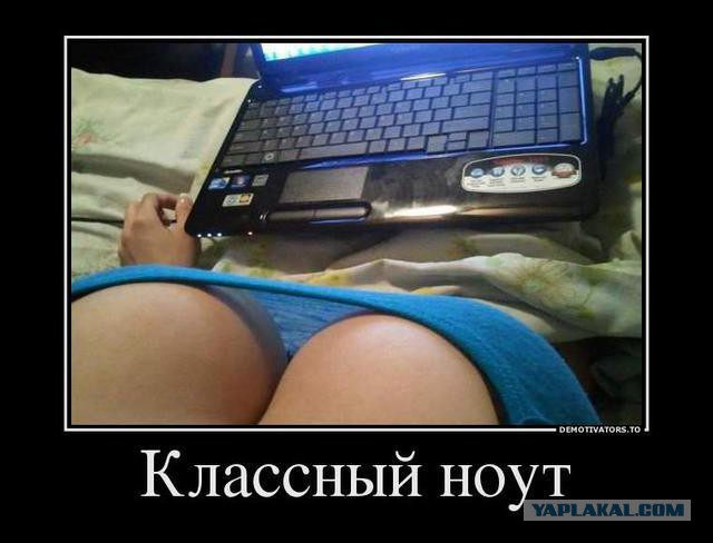 Забавные картинки из Сети