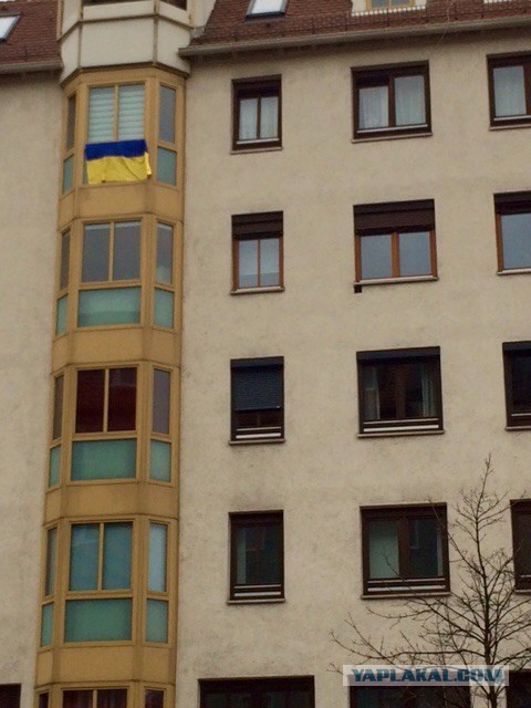 Где, где - в Хургаде!