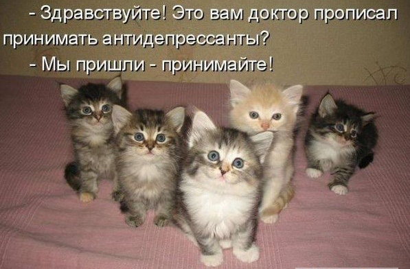 Сам ты Ми Ми Ми.