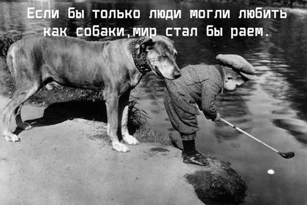 Весёлые картинки
