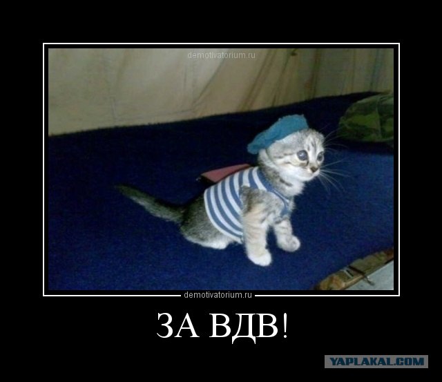 С Днем ВДВ, посоны!