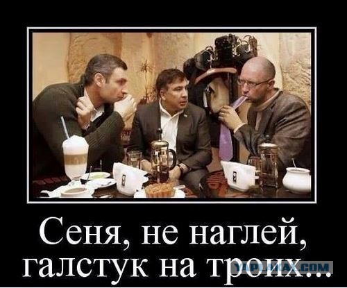 Сеня просится на жабу.