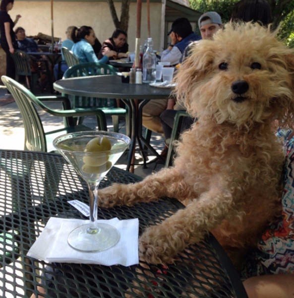 Разные картинки