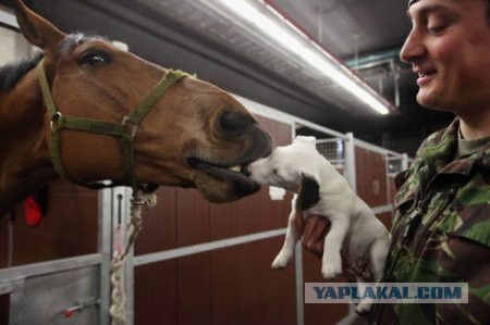 Картинки разные