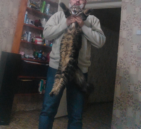 Котовторник 19.01.2016