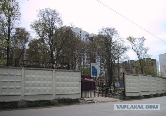 Ухоженный двор, спокойные соседи