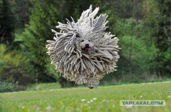 Больше, чем фото