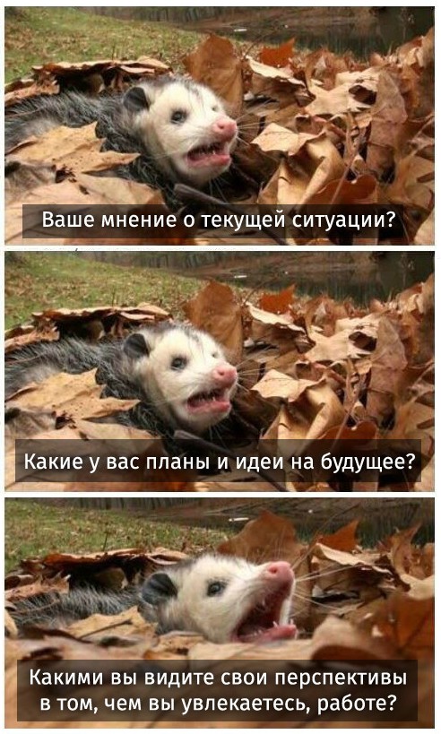 Картинки из сети, бессмысленные и беспощадные