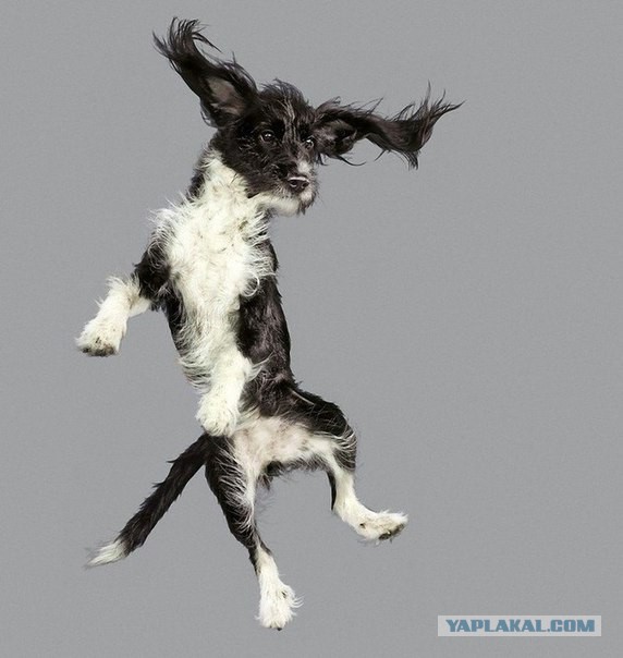 Подборка картинок 29.03.16