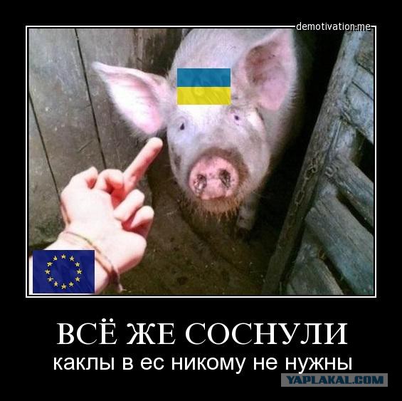 Голландцы против Украины, своих политиков и ЕС, ЗА РЕФЕРЕНДУМ!