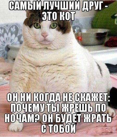Божьи твари