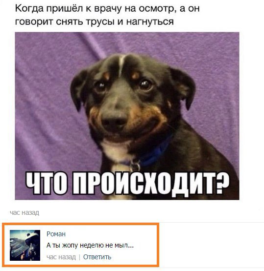 Ужасы и приколы из соцсетей 18+