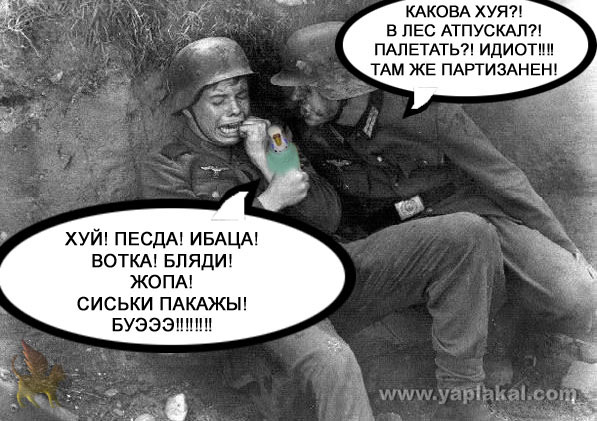 Барсик и Кеша (жесть)