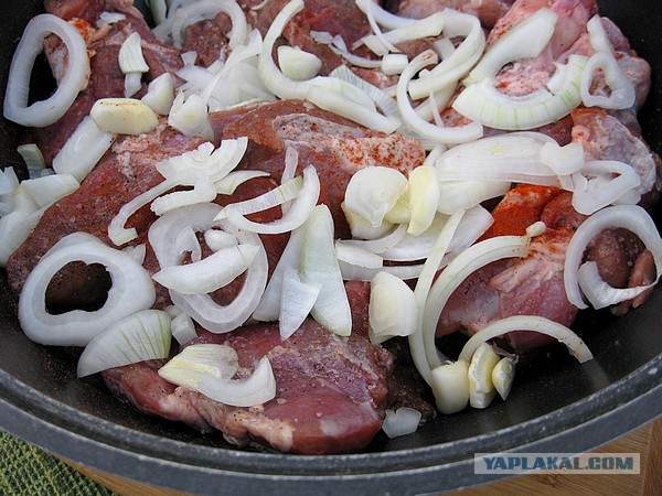 Мировая кулинария. День повара