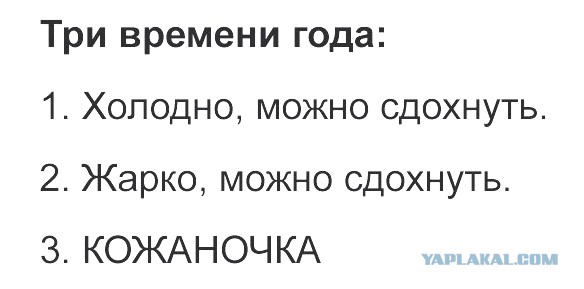 Юмор не для всех