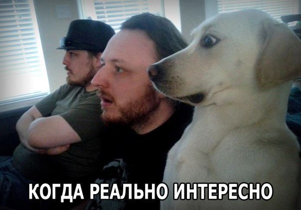 Подборка интересных и веселых картинок