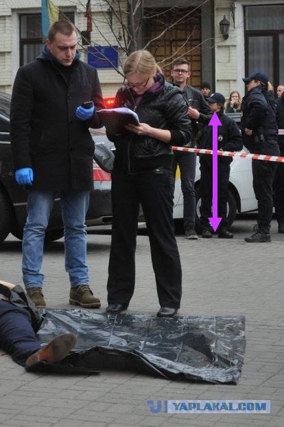 Видео убийства Вороненкова