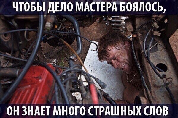 Подборка безудержного веселья