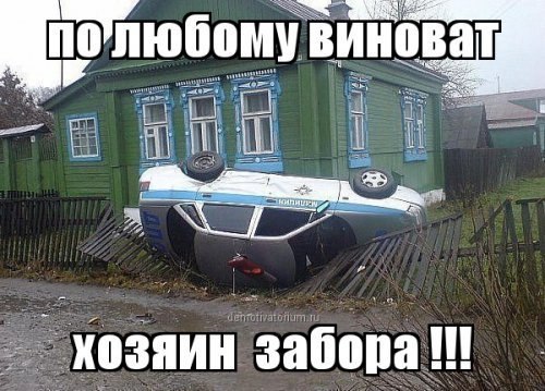 Подборка безудержного веселья