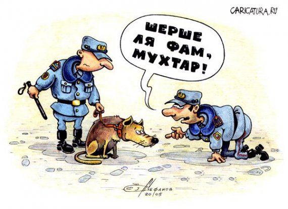 Флегматик и милиция
