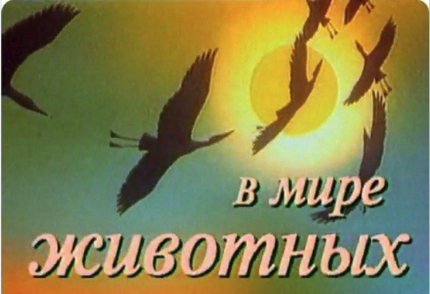 Девятиклассники толпой избили парня