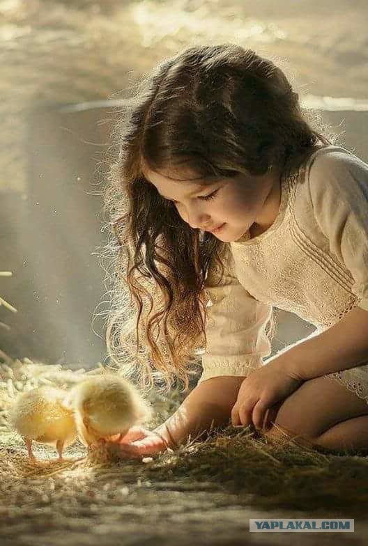 Немного милых жипегов