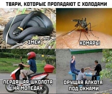 Субботняя фотоподборка