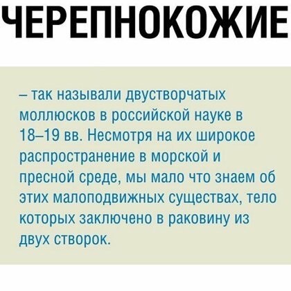 15 картинок, которые помогут узнать, насколько вы испорчены...